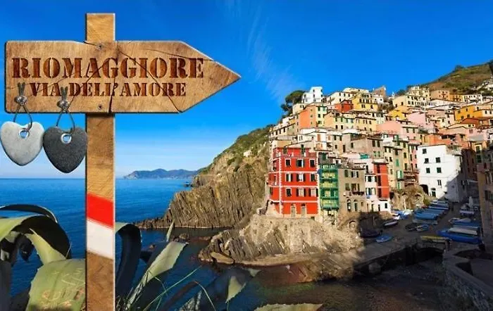 Paradise 5 Terre Blue